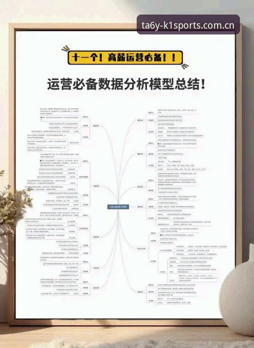 K1体育平台“官方站群呼号ta6y站点”全面解析：数据升级与使用场景深度分析